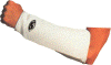 Click to Enlarge