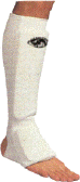 Click to Enlarge