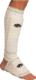 Click to Enlarge