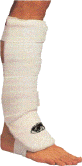 Click to Enlarge
