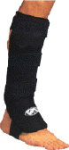 Click to Enlarge
