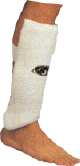 Click to Enlarge