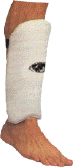 Click to Enlarge