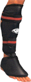 Click to Enlarge