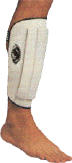 Click to Enlarge